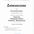 Powiększ obraz: certificate 5
