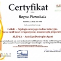 Powiększ obraz: certificate 2