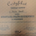 Powiększ obraz: certificate 2