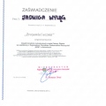 Powiększ obraz: certificate 17