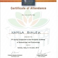 Powiększ obraz: certificate 62