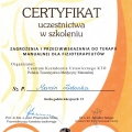 Powiększ obraz: certificate 25