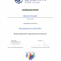 Powiększ obraz: certificate 8