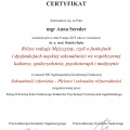 Powiększ obraz: certificate 6