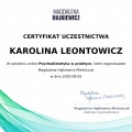 Powiększ obraz: certificate 7