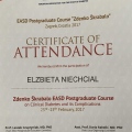 Powiększ obraz: certificate 2