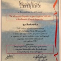 Powiększ obraz: certificate 1