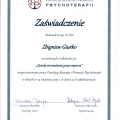 Powiększ obraz: certificate 3