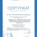 Powiększ obraz: certificate 8