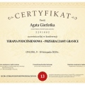 Powiększ obraz: certificate 100
