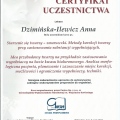 Powiększ obraz: certificate 11