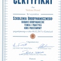 Powiększ obraz: certificate 8