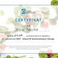 Powiększ obraz: certificate 2