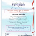 Powiększ obraz: certificate 7