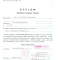 Powiększ obraz: certificate 2