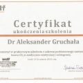 Powiększ obraz: certificate 8