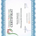 Powiększ obraz: certificate 4