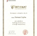 Powiększ obraz: certificate 29