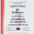 Powiększ obraz: certificate 20