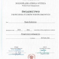 Powiększ obraz: certificate 11