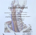 Powiększ obraz: certificate 7