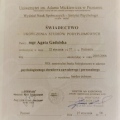 Powiększ obraz: certificate 10