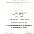 Powiększ obraz: certificate 17