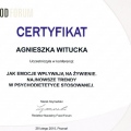 Powiększ obraz: certificate 6