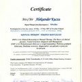 Powiększ obraz: certificate 14