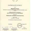 Powiększ obraz: certificate 1