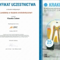 Powiększ obraz: certificate 1