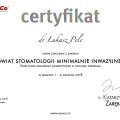 Powiększ obraz: certificate 11