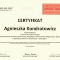 Powiększ obraz: certificate 33