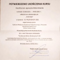 Powiększ obraz: certificate 1