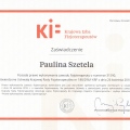 Powiększ obraz: certificate 8