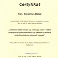 Powiększ obraz: certificate 2