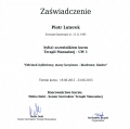 Powiększ obraz: certificate 7