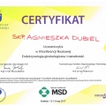 Powiększ obraz: certificate 2