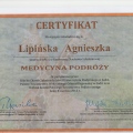 Powiększ obraz: certificate 7