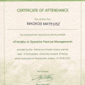 Powiększ obraz: certificate 12