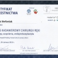 Powiększ obraz: certificate 18
