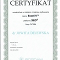 Powiększ obraz: certificate 1