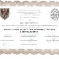 Powiększ obraz: certificate 22