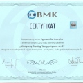 Powiększ obraz: certificate 39