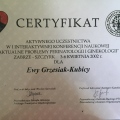 Powiększ obraz: certificate 3