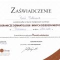 Powiększ obraz: certificate 85