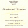 Powiększ obraz: certificate 12