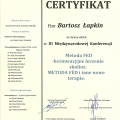 Powiększ obraz: certificate 6