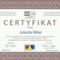 Powiększ obraz: certificate 8