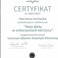 Powiększ obraz: certificate 2